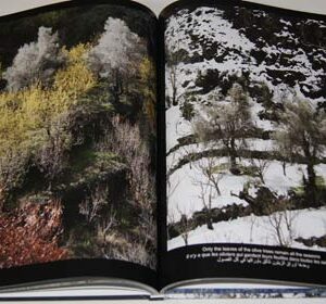 Saint Elisha Monastery - Monastère Saint Elisée - دير مار ليشاع - Image 2