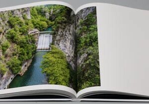 Rise Above Lebanon - Image 6