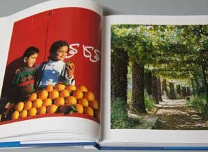 Lebanon - The Phoenician Pearl - Image 10