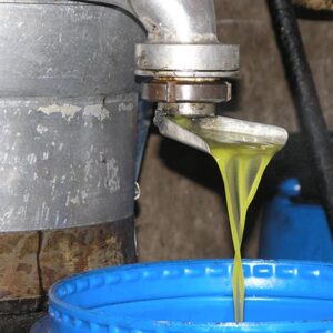 Organic Extra Virgin Olive Oil زيت زيتون بكر ممتاز - Image 14