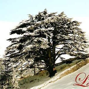 Greeting cards reproducing images of Lebanon - Image 10