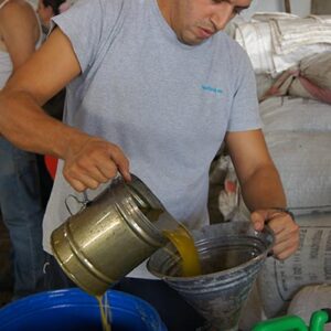 Organic Extra Virgin Olive Oil زيت زيتون بكر ممتاز - Image 15