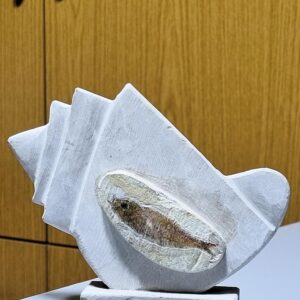 A Phoenician ancient shellfish sculpture