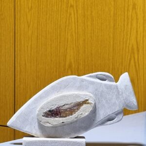 A Phoenician vase with fossils