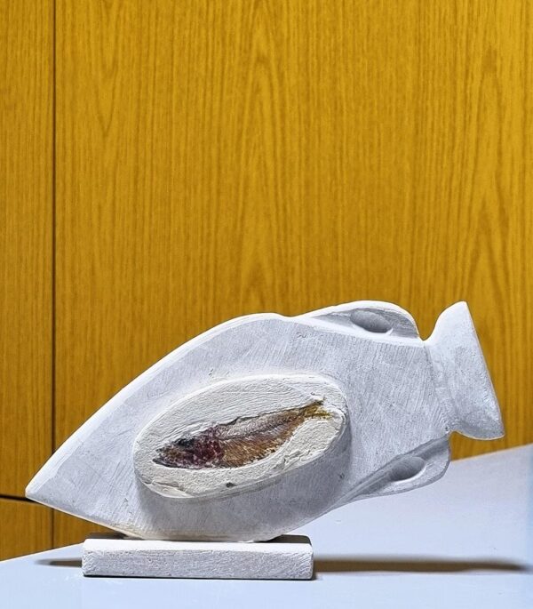 A Phoenician vase with fossils