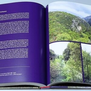 Holy Land of the Phoenicians - Adonis River - Image 5