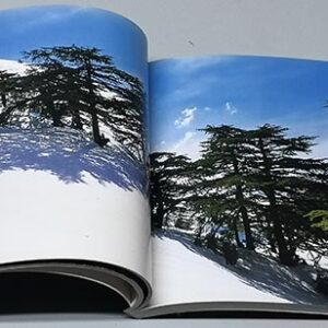 L'Autre Liban - Image 3