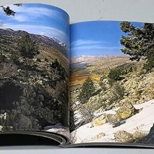 L'Autre Liban - Image 4