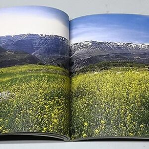 L'Autre Liban - Image 6