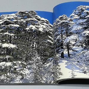 L'Autre Liban - Image 10