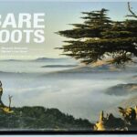 Bare Roots Doumit Abisaleh Daniel Low Beer
