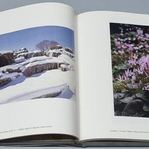 Lebanon, Land of the four seasons - Image 2