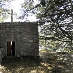 Cedars reserve and Church in Jaj - Image 1