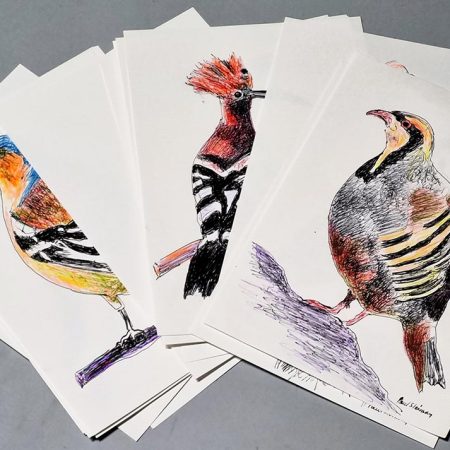 Colored original drawing of Birds of Lebanon