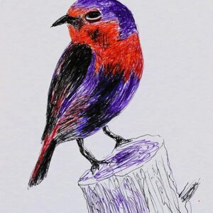 Art drawings of Birds of Lebanon - Image 17