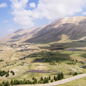 Fields above the Cedars and Bsharri - Image 1