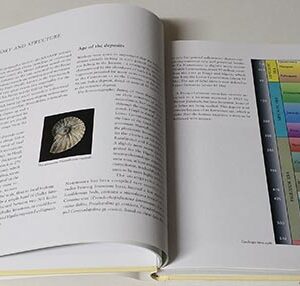 Book - Fossils of Lebanon - Image 4