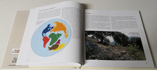 Book - Fossils of Lebanon - Image 5