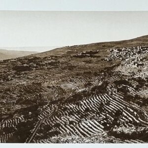 Album Fouad Debbas Photographies Anciennes - Image 13