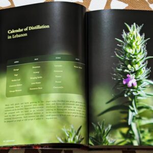 Mouneh - Preserving Foods for the Lebanese Pantry - Image 2