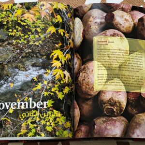 Mouneh - Preserving Foods for the Lebanese Pantry - Image 6