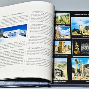 Europa and Cadmus - From Lebanon to the world - Image 6