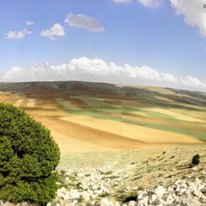 Jbeb el Homr Hermel and Donnieh - Image 1