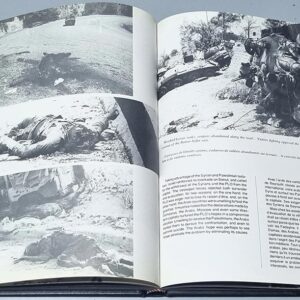 Days of Wrath - Lebanon 77 / 82 - Image 4