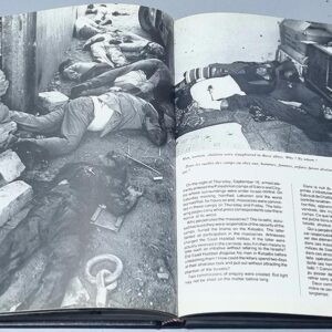 Days of Wrath - Lebanon 77 / 82 - Image 5