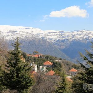 Poster of Kafarakab village - Image 1