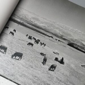 Unretouched Lebanon - Image 4