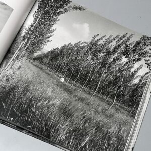 Unretouched Lebanon - Image 7