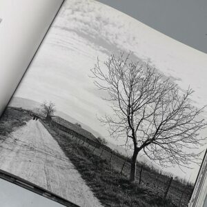 Unretouched Lebanon - Image 8