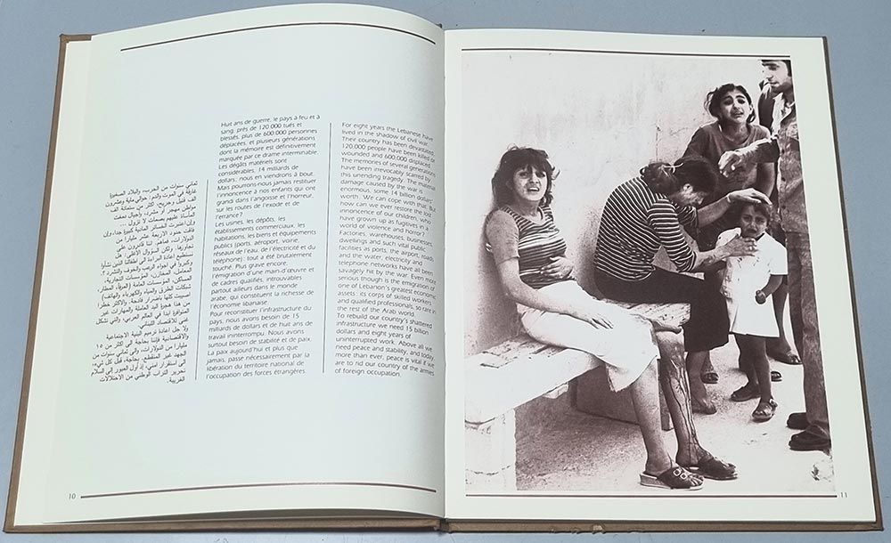 Book Lebanon, the Will to Live Liban Vivre et Resister