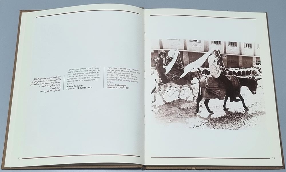 Book Lebanon, the Will to Live Liban Vivre et Resister