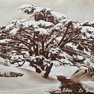 3 Sepia posters - old images of Lebanon - Image 19