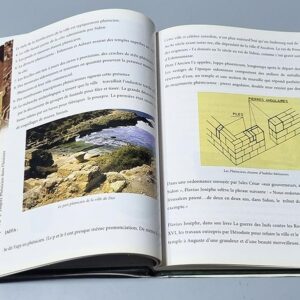 Les Phéniciens et leur Empire - Image 2