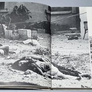 Liban Vie et Mort sans Légende - Stavro - Image 3