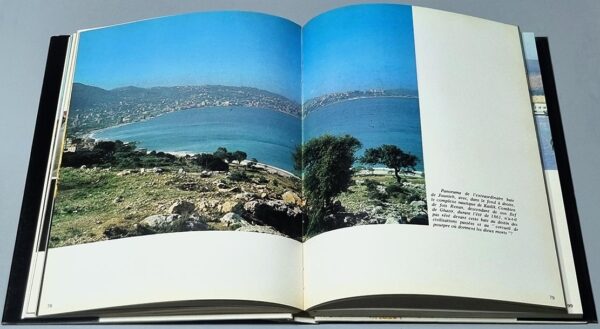 Lights of the Lebanon