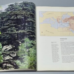 L'autre rive Liban - Image 3