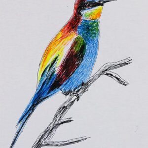Art drawings of Birds of Lebanon - Image 14