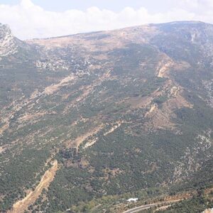 Mountains above Douma - Olive trees - Image 1