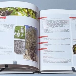 Native Trees of Lebanon and Neighboring Countries