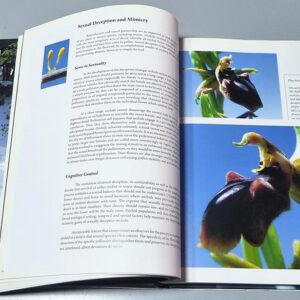 Natural Heritage from the Mediterranean Spaces and Species