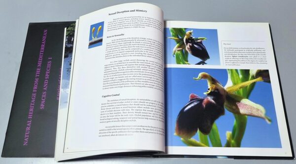 Natural Heritage from the Mediterranean Spaces and Species