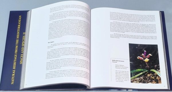 Natural Heritage from the Mediterranean Spaces and Species