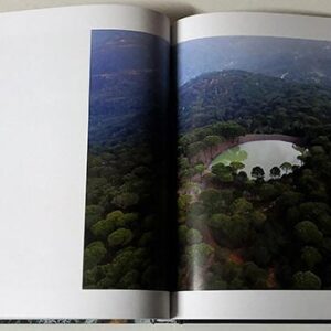 One Flew Over the Cuckoos Land - Image 7