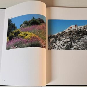 A Photographic Remembrance - Image 3