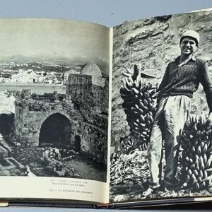 Liban présentation de Farjallah Haik - Image 3