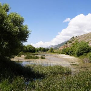 Poster Aammiq Bekaa - Image 1